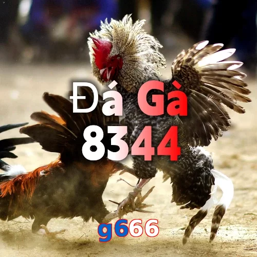 g666